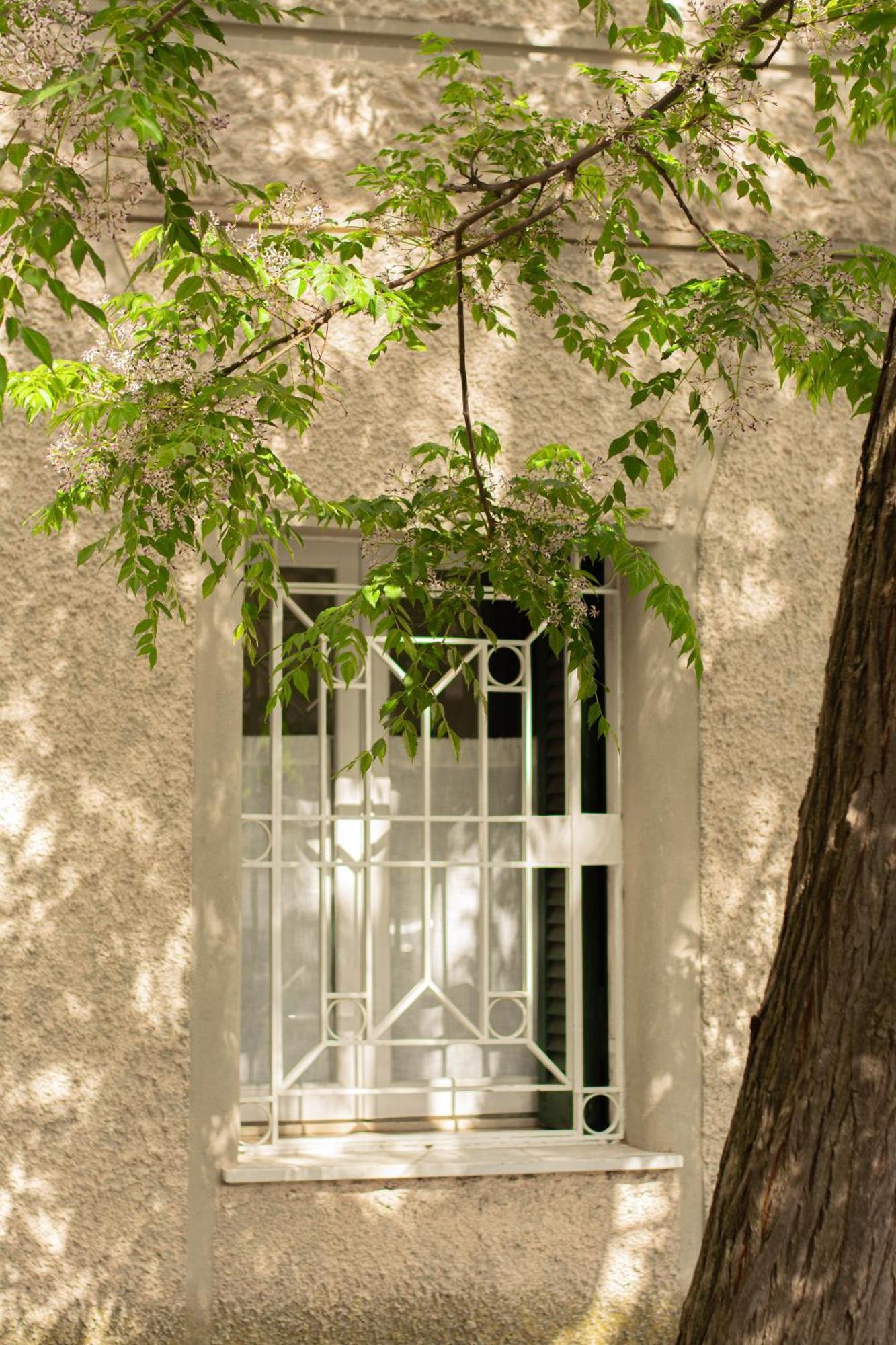 Domus Gianicolo 2B Apartment Rome Bagian luar foto